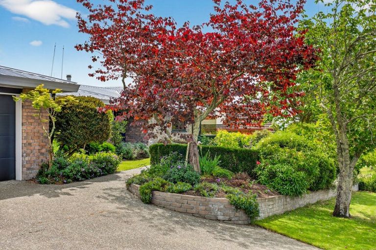 Photo of property in 24 Reeve Drive, Havelock North, 4130