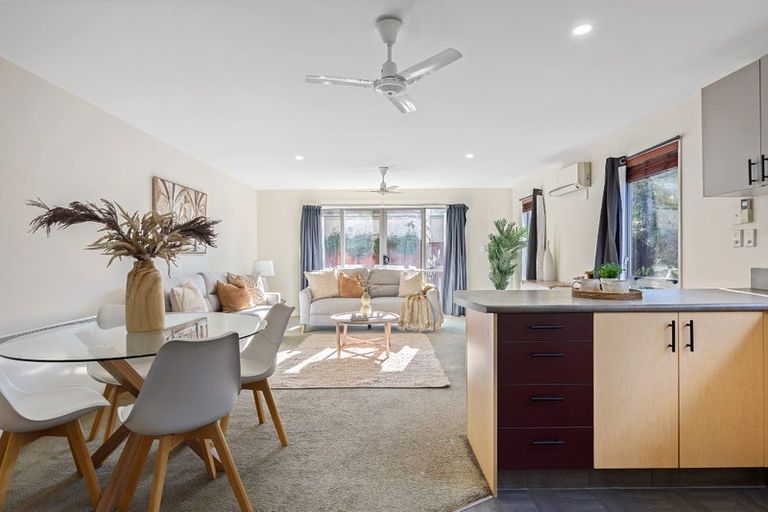 Photo of property in 26 Whiteleigh Avenue, Addington, Christchurch, 8024