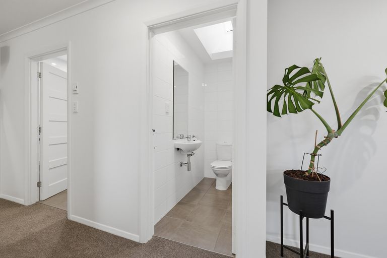 Photo of property in 72 Dunrobin Street, Waverley, Dunedin, 9013
