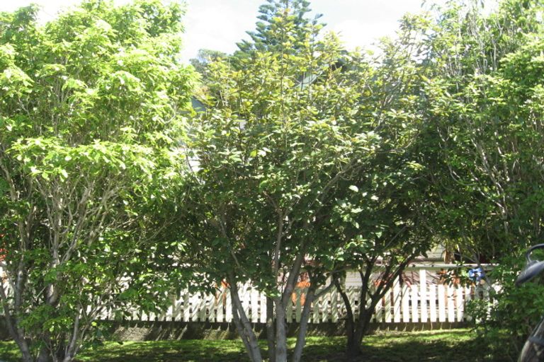 Photo of property in 2 Hinau Road, Hataitai, Wellington, 6021