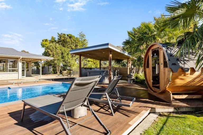 Photo of property in 119 Kaimata Road, Bay View, Napier, 4182