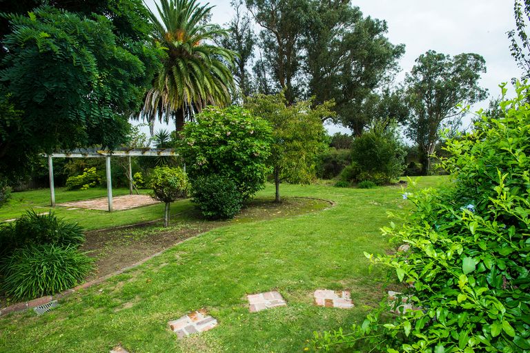 Photo of property in 12 Pine Street, Mangapapa, Gisborne, 4010