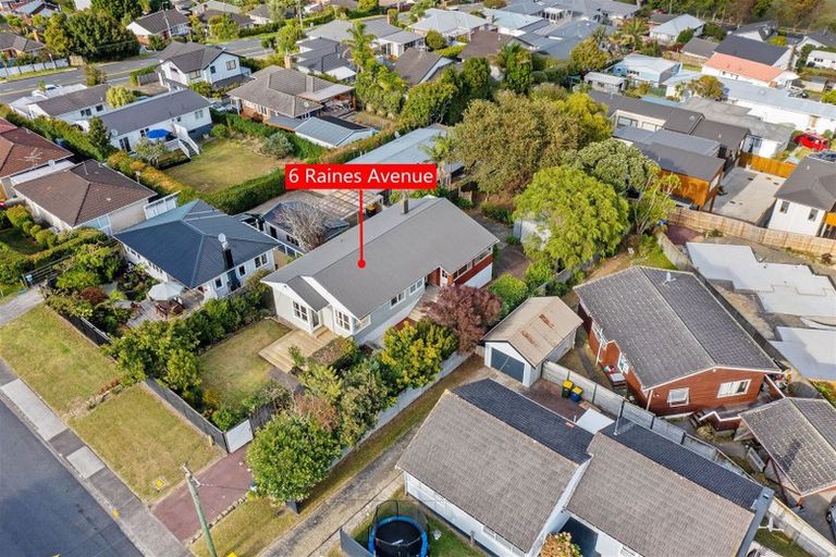 Photo of property in 6 Raines Avenue, Forrest Hill, Auckland, 0620