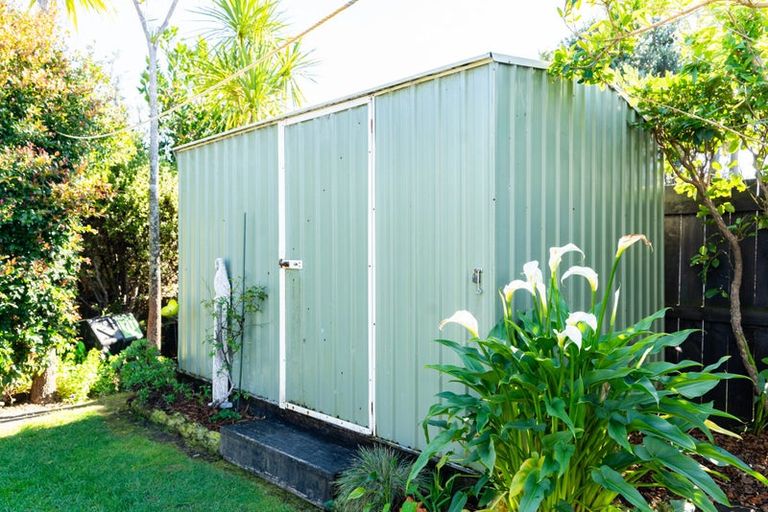 Photo of property in 37 Grove Road, Mangawhai Heads, Mangawhai, 0505