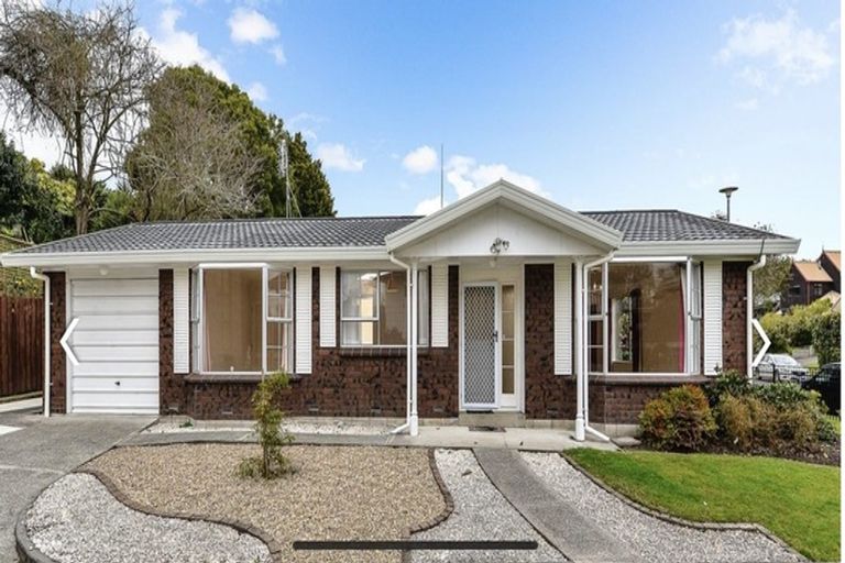 Photo of property in 19 Perindale Drive, Chartwell, Hamilton, 3210