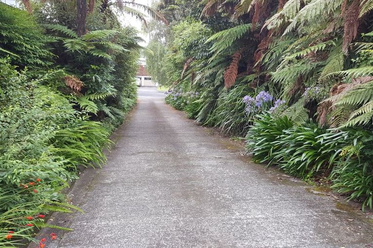 Photo of property in 4b Solly Place, Springfield, Rotorua, 3015