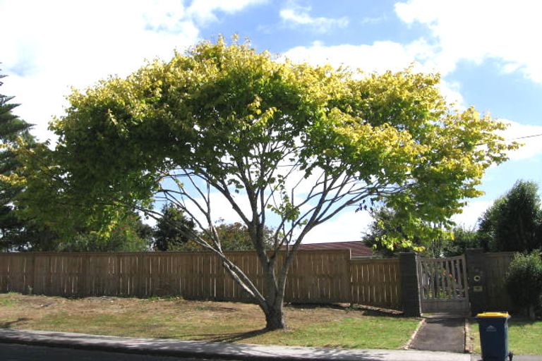 Photo of property in 100 Verbena Road, Birkdale, Auckland, 0626