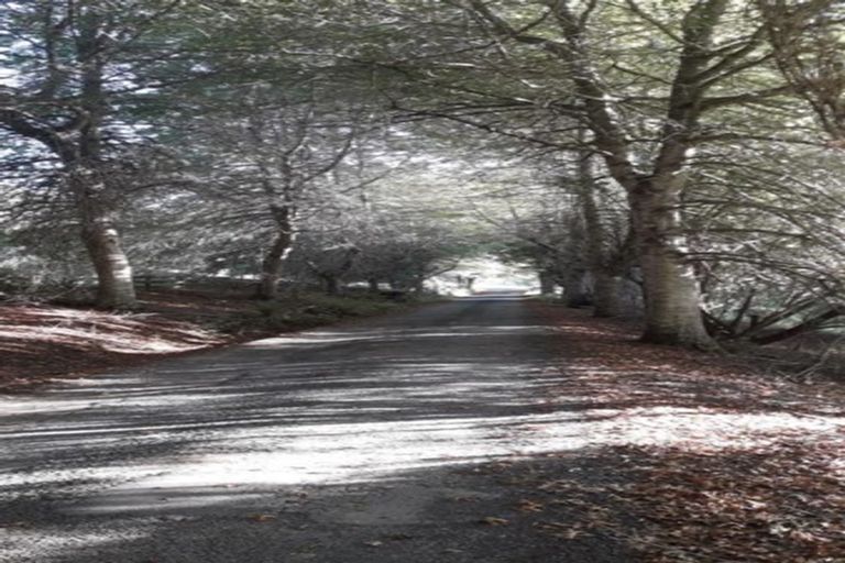 Photo of property in 9 Slowater Lane, Puhoi, Warkworth, 0994