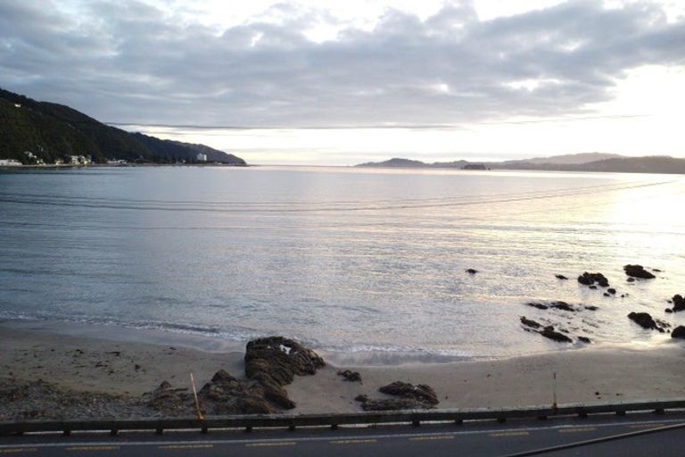 Photo of property in 609 Marine Drive, Days Bay, Lower Hutt, 5013