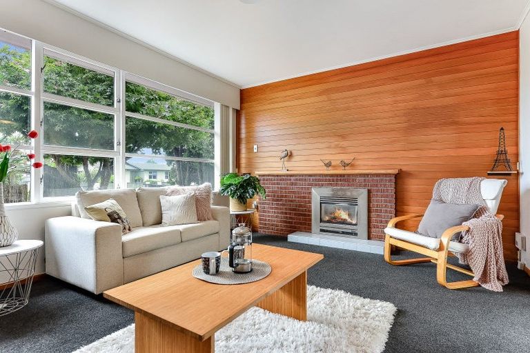 Photo of property in 12 Carlyle Avenue, Chartwell, Hamilton, 3210