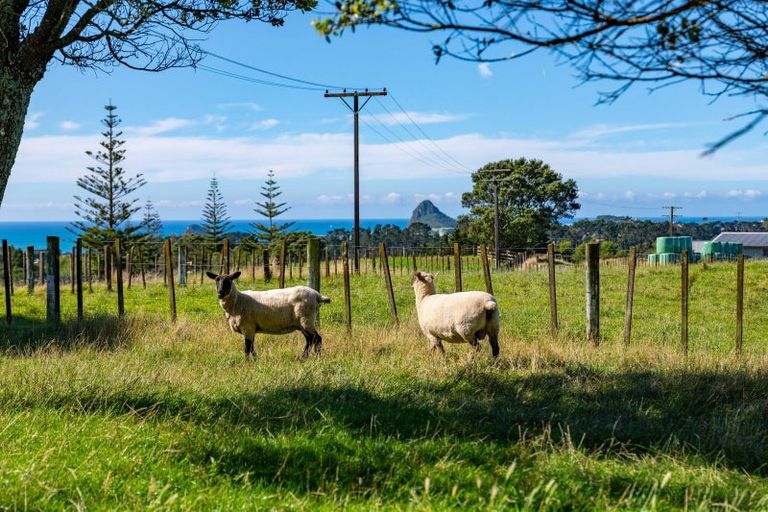 Photo of property in 568 South Road, Omata, New Plymouth, 4374