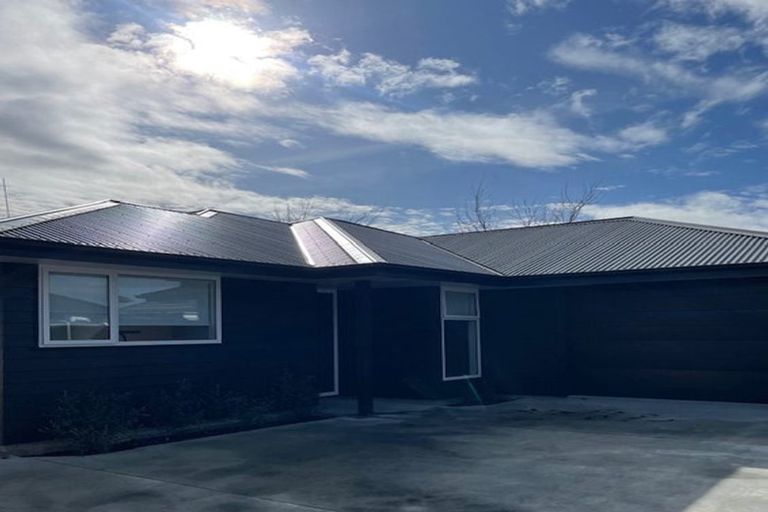 Photo of property in 117 Limbrick Street, Terrace End, Palmerston North, 4410