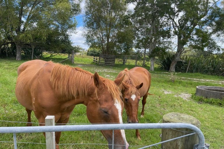 Photo of property in 44 Follies Way, Dairy Flat, 0792