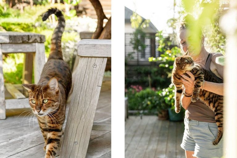 Photo of property in 2/563 Maunganui Road, Mount Maunganui, 3116