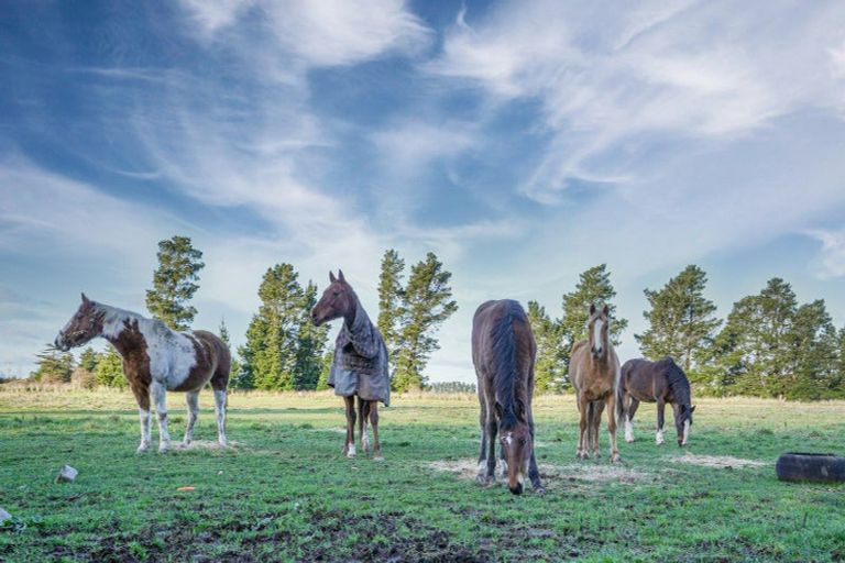 Photo of property in 211 Inglis Road, Okuku, Rangiora, 7473