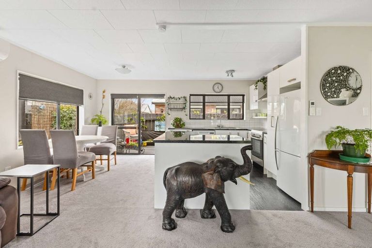 Photo of property in 219/1 Coronation Avenue, Welbourn, New Plymouth, 4310