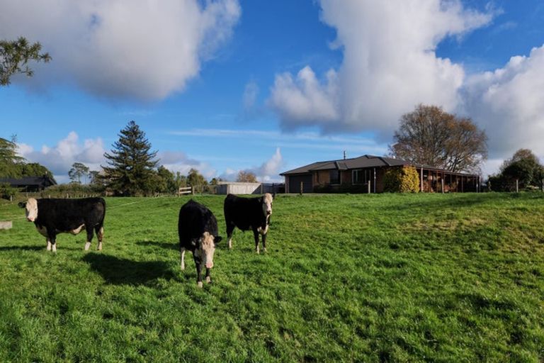 Photo of property in 148 Flume Road, Te Miro, Cambridge, 3496