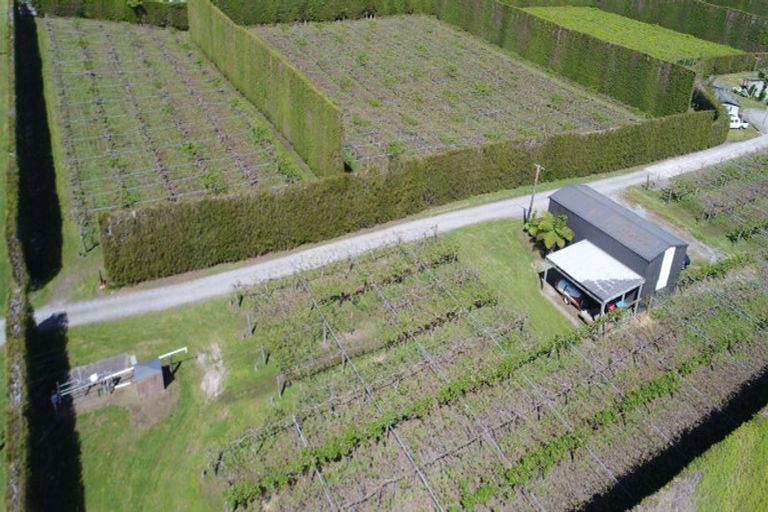 Photo of property in 566 Belk Road, Omanawa, Tauranga, 3171