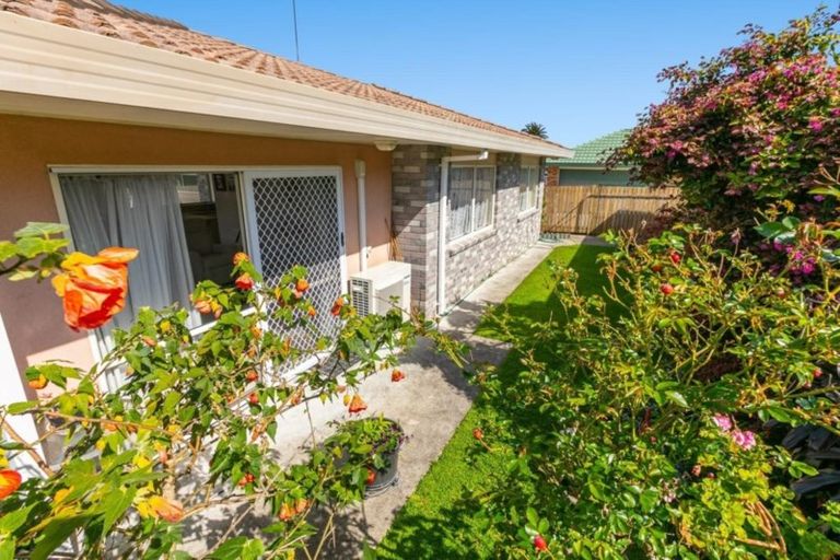 Photo of property in 71b Mansels Road, Greerton, Tauranga, 3112