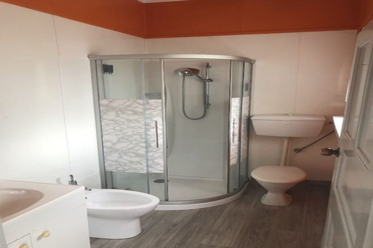 Photo of property in 19 Marshall Street, Fairfield, Hamilton, 3214