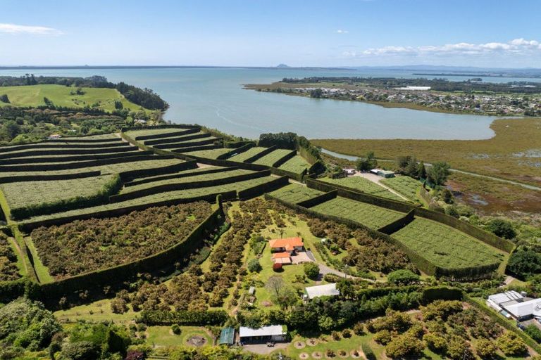 Photo of property in 11b Stokes Road, Tahawai, Katikati, 3170