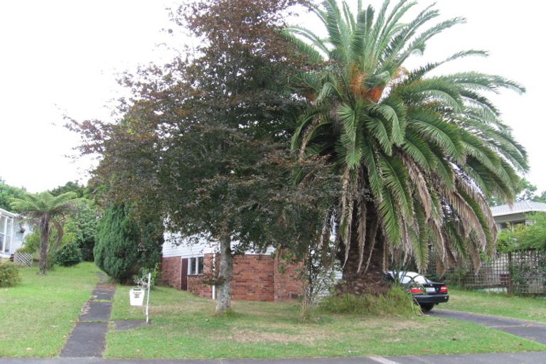 Photo of property in 25 Stanaway Street, Hillcrest, Auckland, 0627