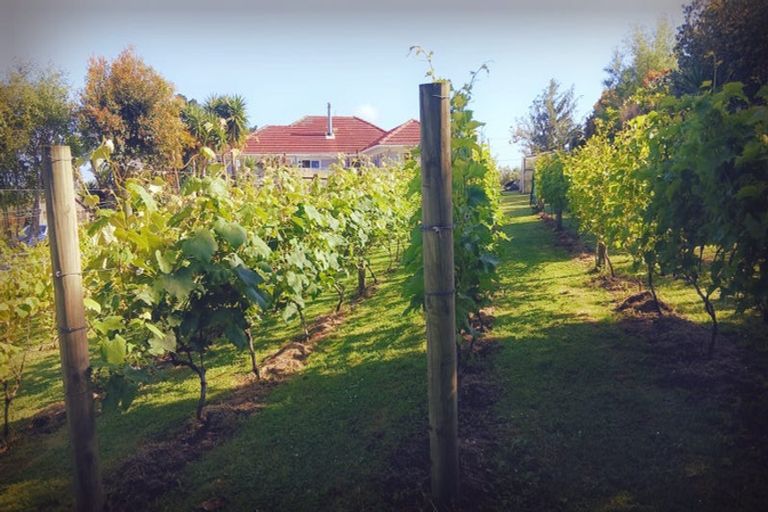 Photo of property in 156 Petley Road, Paparoa, 0571