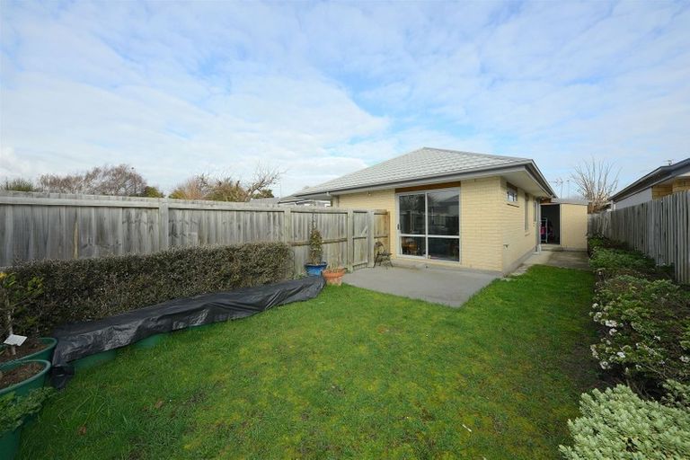 Photo of property in 2/10 Collins Street, Addington, Christchurch, 8024