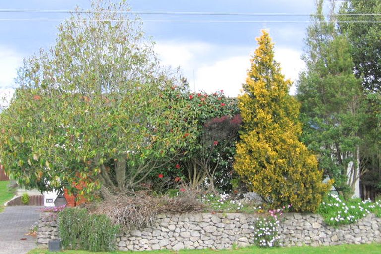 Photo of property in 188 Ohauiti Road, Ohauiti, Tauranga, 3112