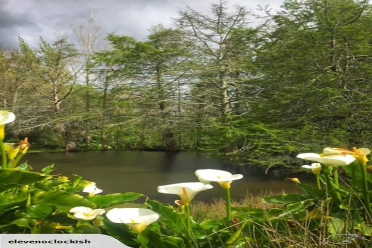 Photo of property in 1610 Cambridge Road, Te Awamutu, 3800