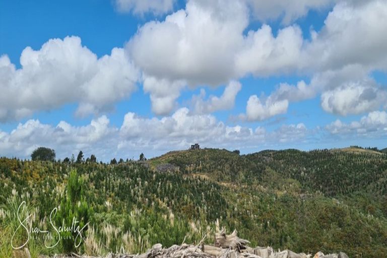 Photo of property in 872 Bickerstaffe Road, Maungaturoto, 0587