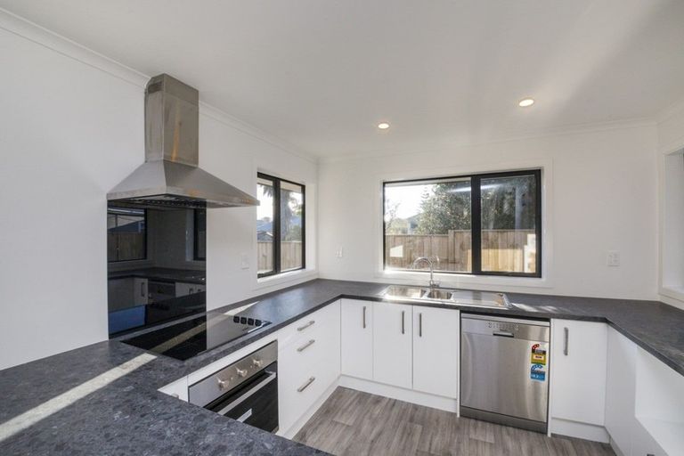 Photo of property in 29a Chelwood Street, Takaro, Palmerston North, 4412