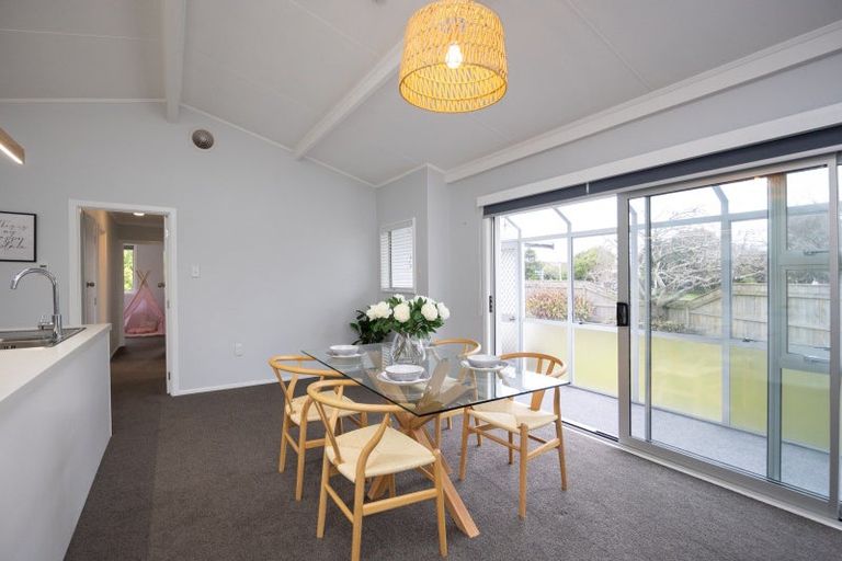 Photo of property in 147 Stanford Street North, Ashhurst, 4810