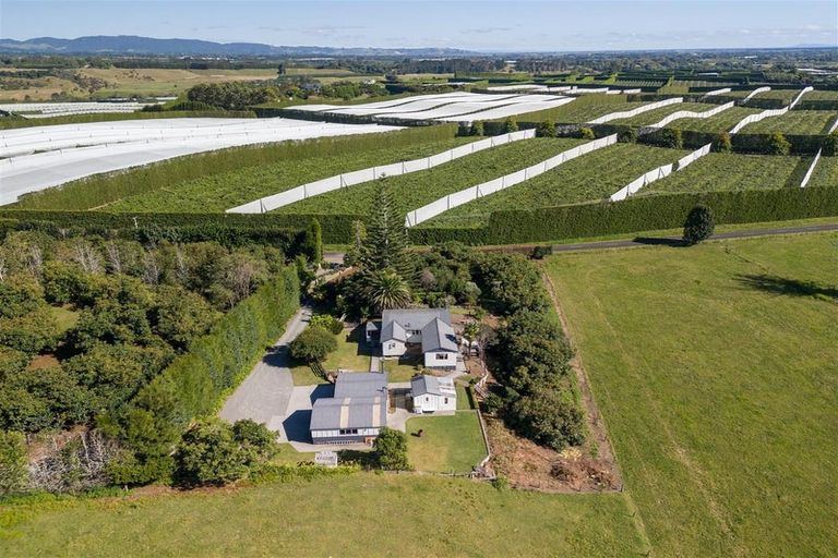 Photo of property in 107 Roydon Downs Road, Paengaroa, Te Puke, 3189