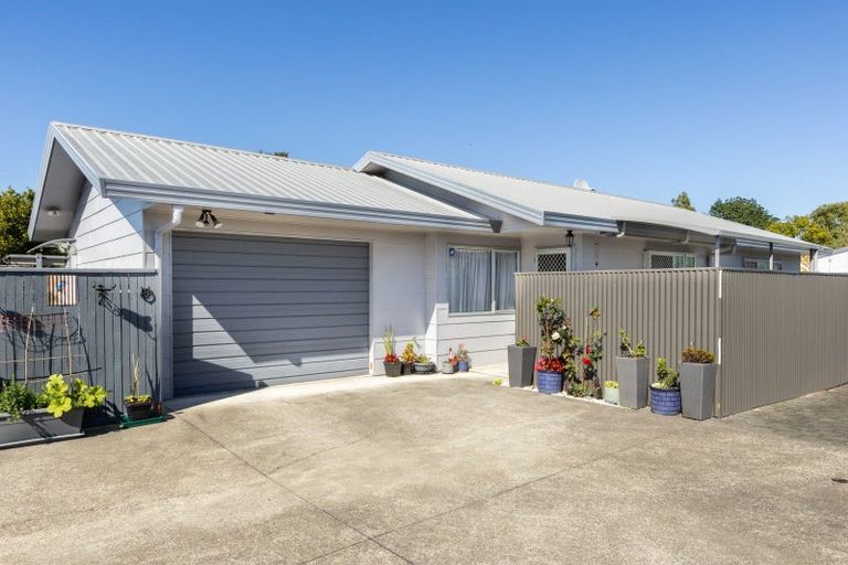 Photo of property in 87b Wellesley Road, Napier South, Napier, 4110