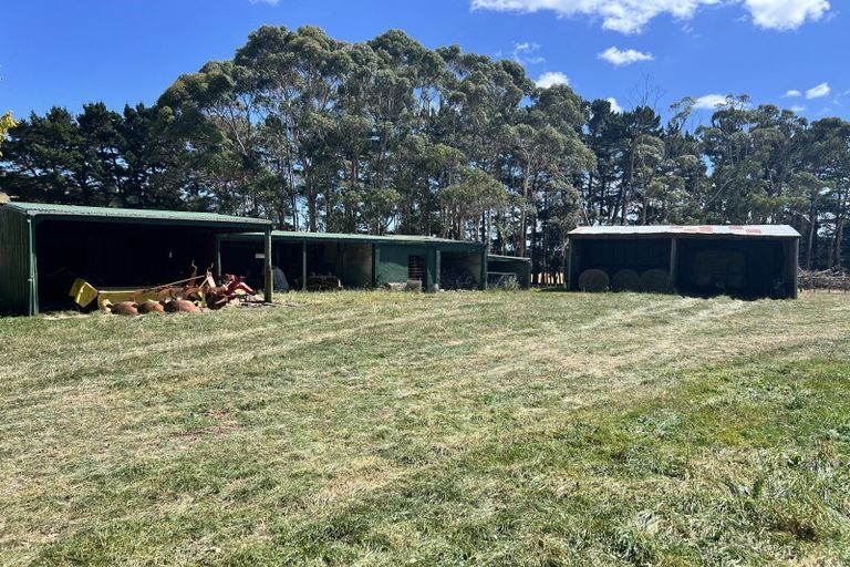 Photo of property in 66 Hamilton Road, Dannevirke, 4976