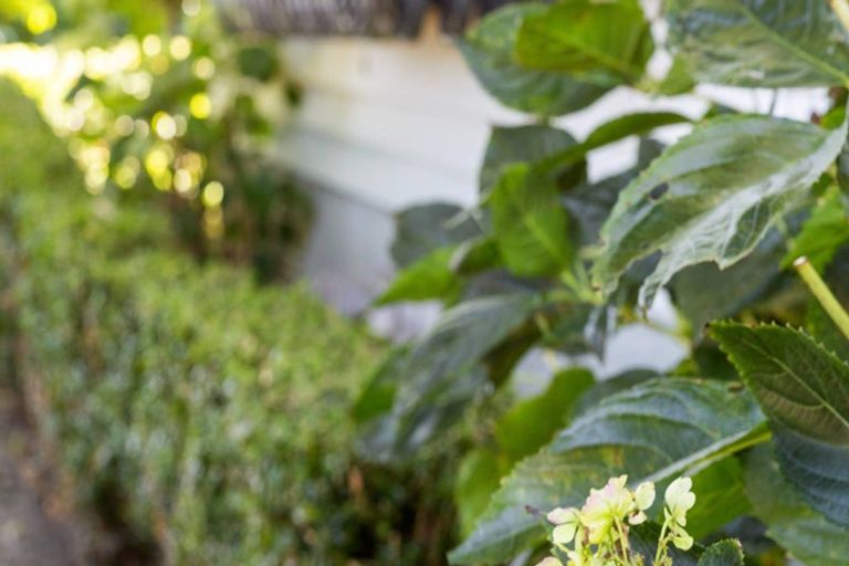 Photo of property in 2 Onslow Street, Hamilton East, Hamilton, 3216