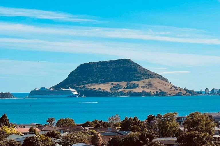 Photo of property in 18 Hinewa Road, Otumoetai, Tauranga, 3110