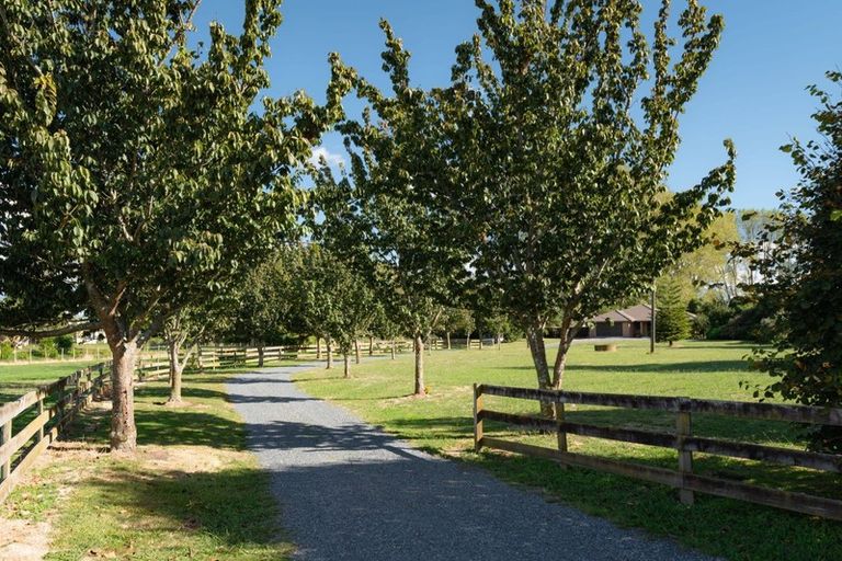 Photo of property in 391 Telephone Road, Puketaha, Hamilton, 3281