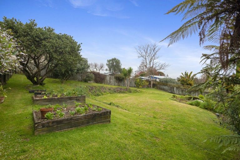 Photo of property in 11 Mulberry Lane, Bellevue, Tauranga, 3110