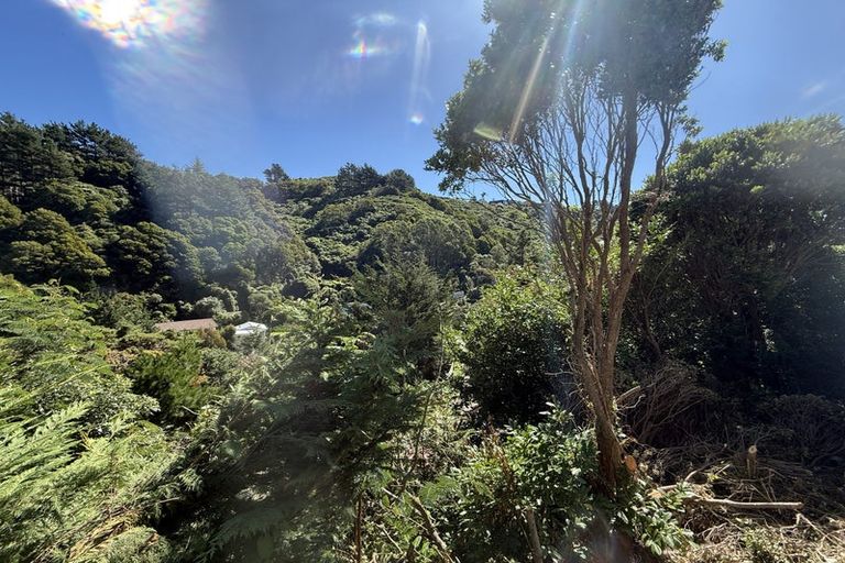 Photo of property in 367 Ohiro Road, Brooklyn, Wellington, 6021