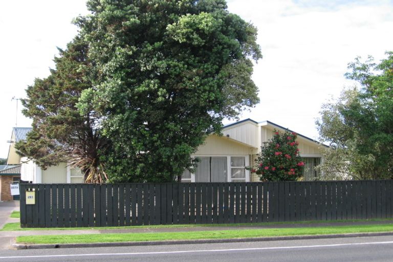 Photo of property in 251a Maungatapu Road, Maungatapu, Tauranga, 3112