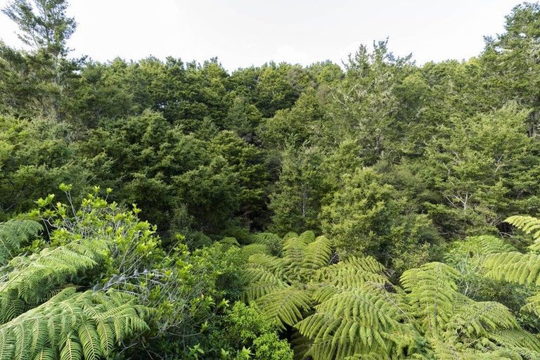 Photo of property in 453 Cemetery Road, Maunu, Whangarei, 0179