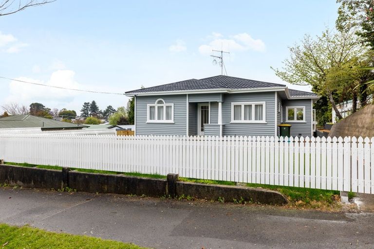 Photo of property in 17 Hinau Street, Maeroa, Hamilton, 3200