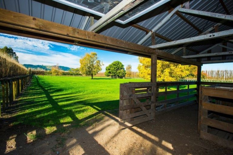 Photo of property in 862 Matawai Road, Ormond, Gisborne, 4071