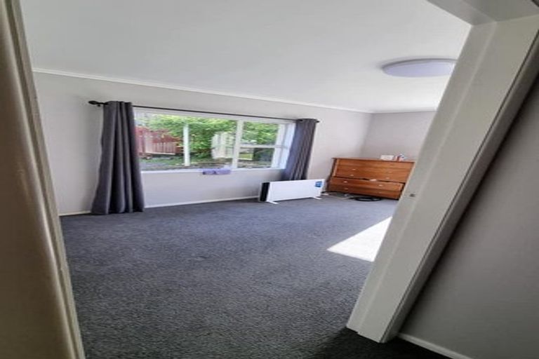 Photo of property in 3 Lerwick Terrace, Melrose, Wellington, 6023