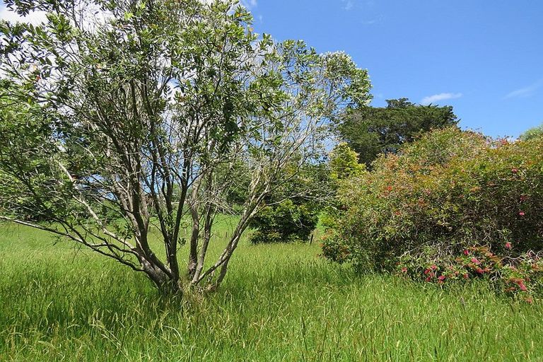 Photo of property in 605 Whakapirau Road, Whakapirau, Maungaturoto, 0583