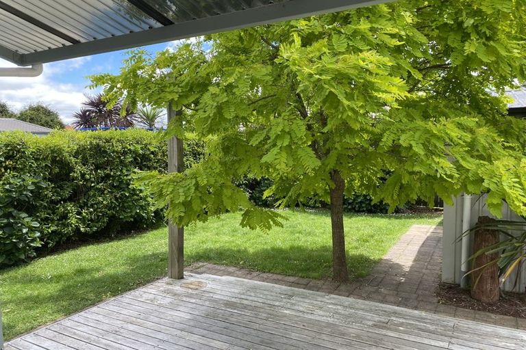 Photo of property in 117 Fairfield Road, Fairfield, Hamilton, 3214