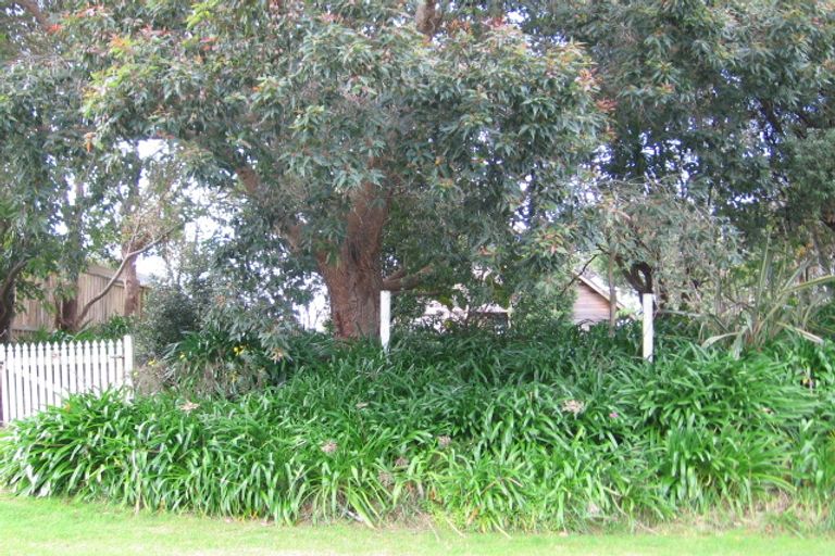 Photo of property in 214 Mangakahia Drive, Whangapoua, Coromandel, 3582