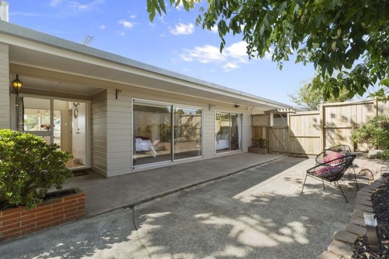 Photo of property in 120 Sunrise Avenue, Mairangi Bay, Auckland, 0630